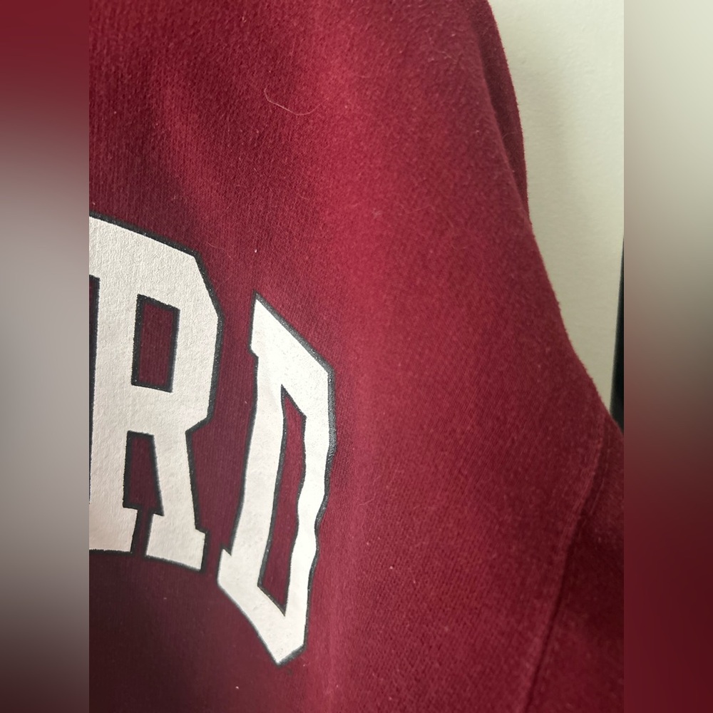 Thick and oversized Harvard printed hoodie - Picture 4 of 12